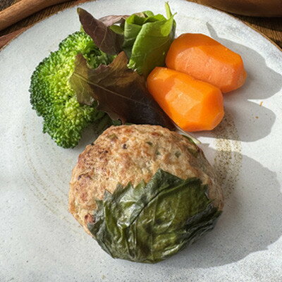 【ふるさと納税】Judo’s Cook　お肉のさんが焼き100g×6個【配送不可地域：離島】【...