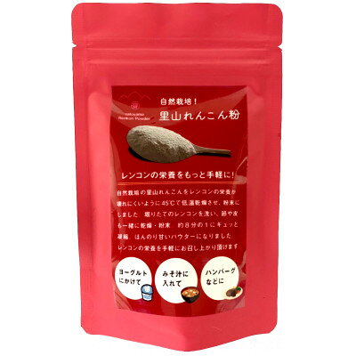 里山れんこんパウダー 100g