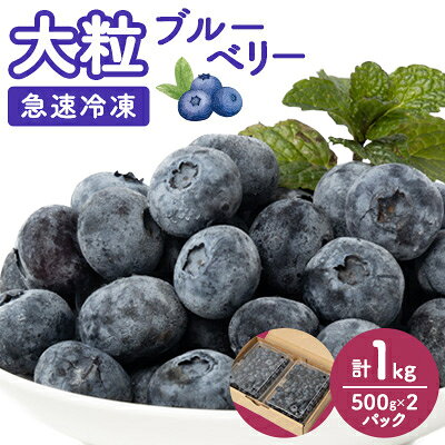 【ふるさと納税】【大粒】冷凍ブルーベリー1kg(500g×2パック)【配送不可地域：離島】【1292650】