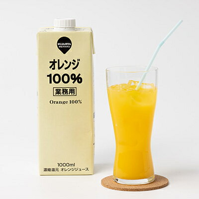 【ふるさと納税】めいらく業務用100%果汁(オレンジ)　12本【1289797】