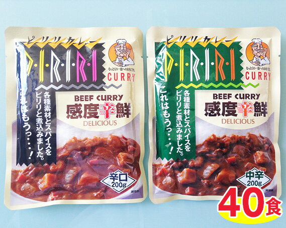 ピリリビーフカレー中辛・辛口セット(40食) / カレーライス レトルト 送料無料 千葉県