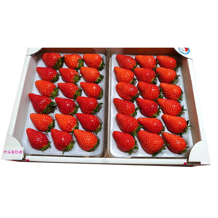 【ふるさと納税】No.073 【市東農園のいちご】かんなひめ　約900g ／ フルーツ イチゴ 苺 送料無料 千葉県