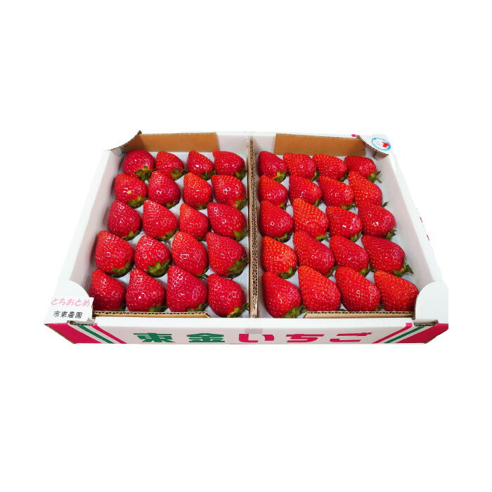 【ふるさと納税】No.076 【市東農園のいちご】とちおとめ　約900g ／ フルーツ イチゴ 苺 送料無料 千葉県