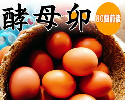 【ふるさと納税】No.088酵母卵／たまごタマゴ送料無料千葉県