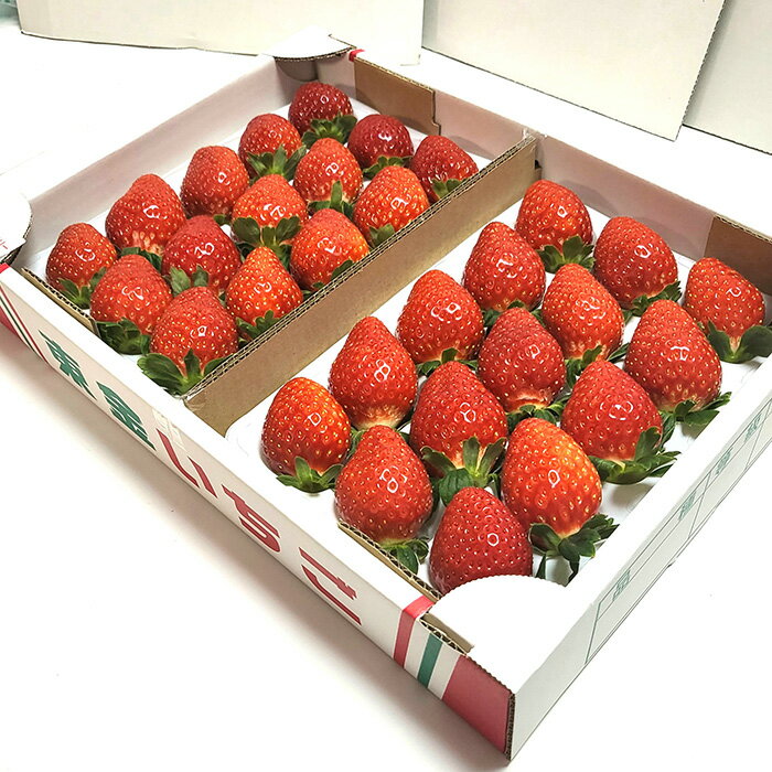 【ふるさと納税】No.154 こだわり完熟苺（おいCベリー）900g ／ 完熟 いちご イチゴ 果物 フルーツ 送料無料 千葉県