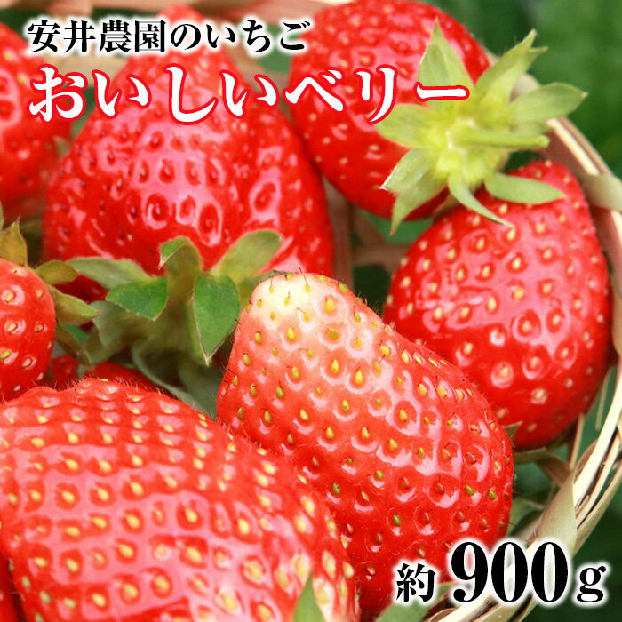 29位! 口コミ数「0件」評価「0」No.184 【安井農園のいちご】おいしいベリー　約900g ／ 苺 イチゴ 果物 フルーツ ビタミンC 送料無料 千葉県