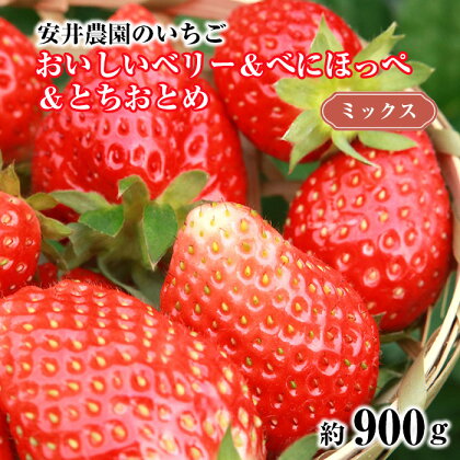 No.186 おいしいベリー＆べにほっぺ＆とちおとめ　ミックス　約900g ／ 苺 イチゴ 果物 フルーツ ビタミンC 送料無料 千葉県
