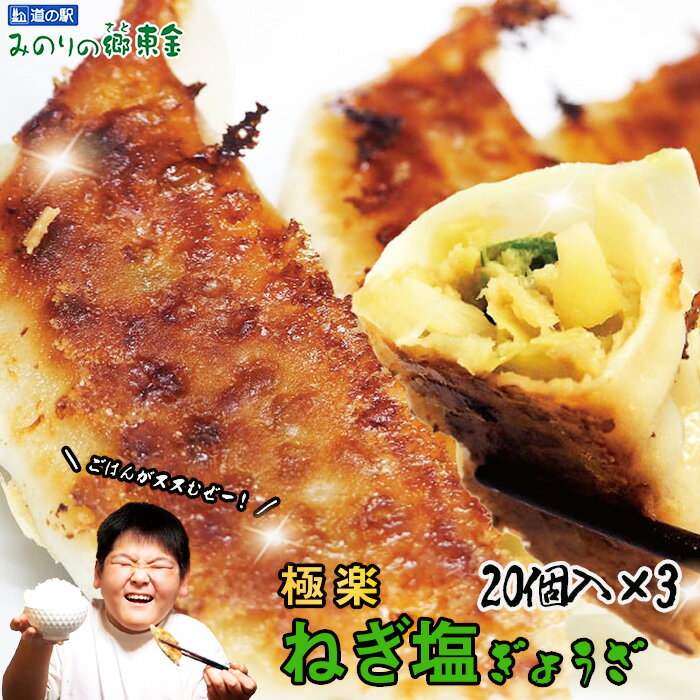 【ふるさと納税】No.343 東金極楽ねぎ塩ぎょうざ3袋セット 20個入×3 / 餃子 惣菜 ギョウザ ギョーザ 中華 ネギ塩 にんにく おつまみ 手軽なおかず...