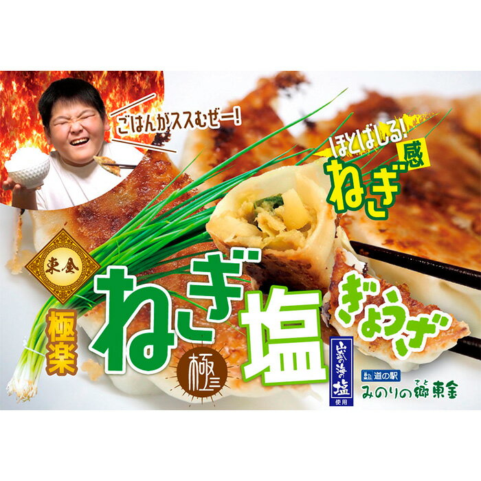 【ふるさと納税】 東金極楽ねぎ塩ぎょうざ6袋セット　20個入×6 ／ 餃子 惣菜 ギョウザ ギョーザ 中華 ネギ塩 にんにく おつまみ 手軽なおかず 夕飯 昼食 レストランの味 東金市 千葉県 送料無料 千葉県