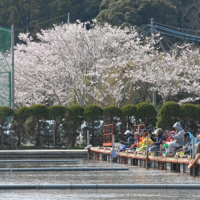 【ふるさと納税】旭市長熊釣堀センター入場券 (...の紹介画像3