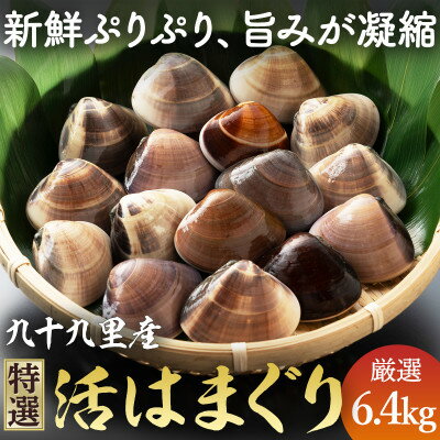 ≪千葉ブランド水産物認定品≫　　　　　　九十九里産活けはまぐり約6.4kg/68～88個【配送不可地域：離島】【1134298】