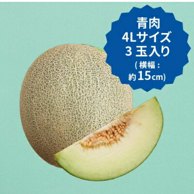 【ふるさと納税】【2024年先行予約】飯岡メロン　4Lサイズ(約1.6kg)×3玉セット(計約4.8kg)【1136457】