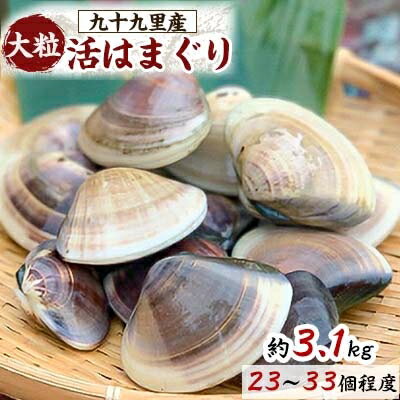 【ふるさと納税】九十九里産　大粒活はまぐり　約3.1kg【配送不可地域：離島】【1143630】