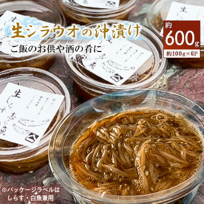 生シラウオの沖漬け600g(100g×6P)【配送不可地域：離島】【1214804】