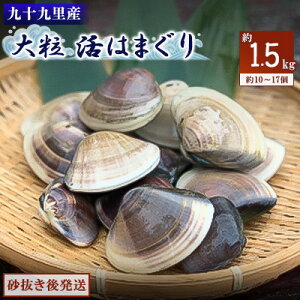 【ふるさと納税】九十九里産　大粒活はまぐり　約1.5kg【配送不可地域：離島】【1215229】