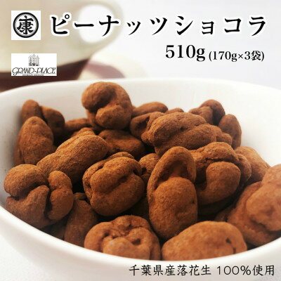 4位! 口コミ数「0件」評価「0」ピーナッツショコラ ココア 510g(170g×3)千葉県産落花生&ベルギー産クーベルチュール使用【配送不可地域：離島】【1380217】