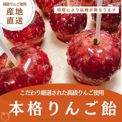 14位! 口コミ数「0件」評価「0」こだわり厳選された高級りんごを使用した本格りんご飴　5個【配送不可地域：離島・沖縄県】【1468646】