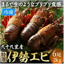 【ふるさと納税】 伊勢海老 リキッド凍結伊勢海老 刺身用 6尾 約2kg 九十九里 新鮮 刺し身 刺身 さしみ 真空 冷凍 旨味 甘み 鮮度 美味しい 贅沢 ご...