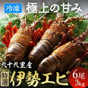 【ふるさと納税】 伊勢海老 活け〆リキッド冷凍伊勢海老 刺身用 6尾 約3kg 九十九里 新鮮 刺し身 刺身 さしみ 真空 冷凍 旨味 甘み 鮮度 美味しい 贅...