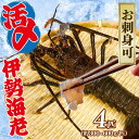 【ふるさと納税】 【9月以降順次発送】 伊勢海老 活〆 冷凍 伊勢海老 300~600g 4匹 約2kg お刺身 海老 エビ 刺し身 エビマヨ エビチリ 味噌汁...