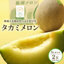 【ふるさと納税】 <2025年 先行予約 > タカミメロン 青肉 5L×2玉 セット 6月 7月 発送 産地直送 メロン 高級 ブランド 糖度 タカミレッド 飯...