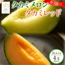 【ふるさと納税】 <2025年 先行予約 > タカミメロン 青肉 赤肉 セット 3L×2玉 6月 発送 産地直送 メロン 食べ比べ 高級 糖度 タカミレッド 飯...