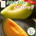 【ふるさと納税】 <2025年 先行予約 > タカミメロン 青肉 赤肉 セット 6L×各1玉 6月 7月 発送 産地直送 メロン 食べ比べ 高級 糖度 タカミレ...