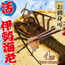 【ふるさと納税】 【9月以降順次発送】 伊勢海老 活伊勢海老 400~600g 4匹 約2kg お刺身 新鮮 海老 エビ 刺し身 エビマヨ 味噌汁 天ぷら 天丼...