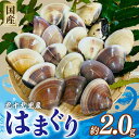 【ふるさと納税】 はまぐり 合計約2kg 30-60g/60-90g 各2パック 蛤 冷凍はまぐり 冷凍蛤 液体冷凍 千葉県産 九十九里 砂抜き済み 味噌汁 酒...