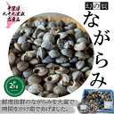 【ふるさと納税】 ながらみ釜茹で 約2kg (1kg×2P) 小分け包装 九十九里産ながらみ 小分け 巻き貝 珍味 貝類 貝 釜茹で 九十九里産 魚貝類 無添加 魚介 贈答 ギフト プレゼント 贈答 記念日 お祝い 送料無料 千葉県 旭 飯岡ヤマイチ水産-大納屋- 千葉県 旭市