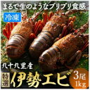 【ふるさと納税】 特選活伊勢エビ 3尾 約1kg(1尾200g〜480g) 伊勢エビ 活 海老 伊勢海老 イセエビ エビ プリプリ 生 活き締め 魚介 生食用 ...