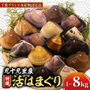 【ふるさと納税】 ≪千葉ブランド水産物認定品≫ 活け はまぐり 選べる 約1kg (10~16個)~約8.0kg(85~110個位) 九十九里産 天然 蛤 活はまぐり 活 冷蔵 魚介 魚貝 海鮮 貝 出汁 だし 味噌汁 酒蒸し グラタン 九十九里浜 お祝い ひなまつり 節句 不動丸 千葉県 旭市