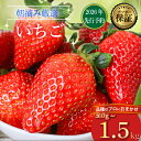 【ふるさと納税】 【2026年2月より発送開始】 品種おまかせ いちご 選べる 500g~1500g 苺 とちおとめ やよいひめ おいCベリー かおり野 スターナイト 果物 くだもの フルーツ 果実 先行予約 おまかせ 品種 ジャム いちごジャム スイーツ ケーキ 千葉県 旭市 滑川いちご園