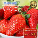 【ふるさと納税】 【2026年2月より発送開始】 品種おまかせ いちご 選べる 500g〜1500g 苺 とちおとめ やよいひめ おいCベリー かおり野 スター...