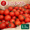 【ふるさと納税】 訳あり ミニトマト 1.5kg 冷蔵配送 2025年10月発送 トマト 旬 新鮮 野菜 やさい 夏野菜 とまと 簡易包装 箱入り ご褒美 サラダ トマトジュース パスタ お弁当 ジューシー 送料無料 産地直送 千葉県 旭市 石井ファーム iif005