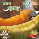【ふるさと納税】 <2025年先行受付>飯岡メロン(青肉・赤肉セット)5L(約1.7kg)各1玉 メロン 飯岡メロン 大玉 青肉メロン 赤肉メロン フルーツ 果...