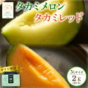 【ふるさと納税】 <2025年 先行予約 > 贈答用 タカミメロン 青肉 赤肉 セット 5L×1玉 6月 7月 発送 産地直送 食べ比べ 高級 糖度 タカミ タ...