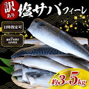 【ふるさと納税】 塩サバ \最短7営業日以内発送/ フィーレ 訳あり 3kg / 5kg 鯖 さば サバ 塩さば 塩鯖 人気 大容量 ボリューム 魚介 冷凍 訳有り グルメ おかず 惣菜 弁当 切身 便利 簡単 調理 焼魚 味噌煮 味噌焼 酒 竜田揚げ 海鮮 送料無料 千葉県 旭市 株式会社ヤマゴ