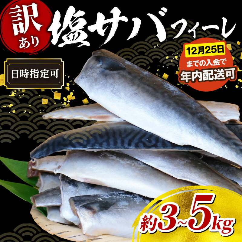 塩 サバ フィーレ 訳あり 3kg / 5kg 塩サバ 鯖 さば 塩さば 塩鯖 人気 魚介 冷凍 訳有り おかず 惣菜 弁当 切身 便利 簡単 調理 焼魚 味噌煮 味噌焼 竜田揚げ 海鮮 産地直送 送料無料 千葉県 旭市 株式会社ヤマゴ