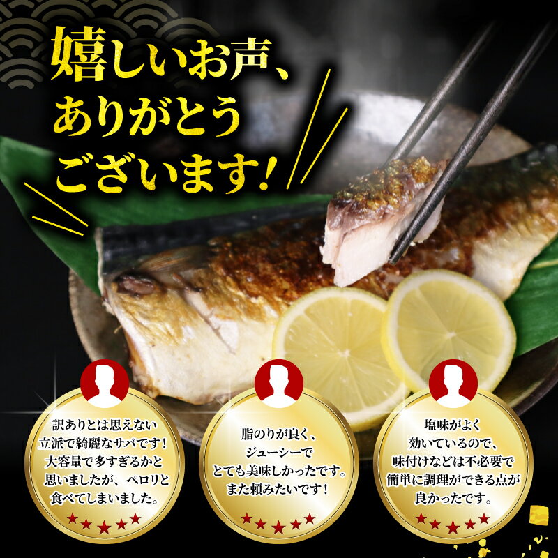 【ふるさと納税】 高評価 ★4.63 国産 塩 サバ フィーレ 【 選べる 3kg / 5kg 】 （ ふるさと納税 さば 鯖 訳あり ふるさと納税 さば 鯖 ふるさと納税 鯖 フィーレ 国産 ふるさと納税 訳あり さば 鯖 不揃い 魚 切身 海鮮 人気 ランキング 千葉県 旭市 ）
