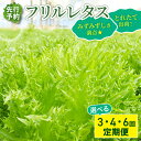 【ふるさと納税】 【先行予約】 フリル レタス 選べる 3回 / 4回 / 6回発送 < 定期便 固定月 > 新鮮レタス フレッシュ レタス サラダ 健康志向 野菜 こだわり 産地直送 土壌栽培 新鮮 とれたて 採れたて 冷蔵 低カロリー ヘルシー レタスボウル 千葉県 旭市 Farm Fujinaga