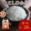 【ふるさと納税】 【 先行予約 】 コシヒカリ 選べる 5〜10kg 令和7年度 新米 米 農家直送 こめ ごはん 白米 お米 精米 ギフト おにぎりこしひかり...