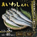 【ふるさと納税】 \最短7営業日以内発送/ いわし 丸干し 選べる 容量 約 1.2kg 3kg 15尾以上 40尾以上 国産 千葉県産 イワシ スピード発送 鰯 簡単調理 酒 ビール 日本酒 人気 魚 海鮮 千葉県 旭市 有限会社井上商店