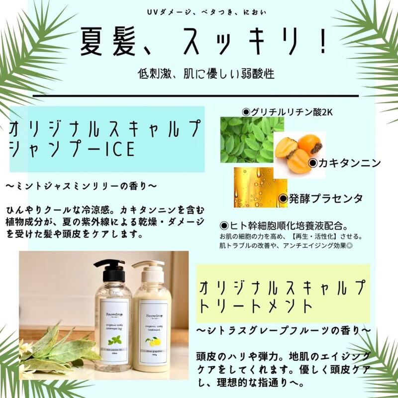 【ふるさと納税】 【 定期便 3回 】シャンプー トリートメント Snowdrop （ スノードロップ ）　オーガニック スキャルプ アイスシャンプー ＆ トリートメント 300ml + 300g 消臭 コラーゲン リラックス 送料無料 千葉県 旭市 株式会社 Oneworld shn007