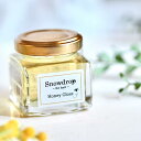【ふるさと納税】 スタイリング 剤 Snowdrop ( スノードロップ ) オーガニック ハニーグロス 45g × 2本 ハチミツ 蜂蜜 スタイリング剤 グロ...