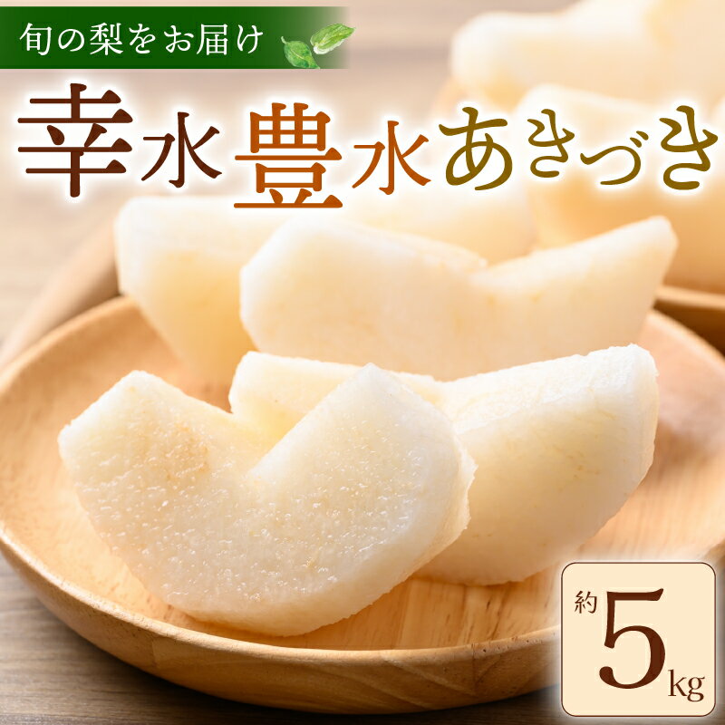 【ふるさと納税】 【 数量限定 】 梨 約 5kg 12〜16玉 幸水 豊水 あきづき 旬 品種おまかせ 2025年 8月〜 9月発送 予定 くだもの 果物 果実 フルーツ なし ナシ 和梨 デザート 幸水梨 豊水梨 産地直送 送料無料 千葉 ふるさと納税 千葉県 旭市 ヤマセ梨園のサムネイル