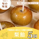 【ふるさと納税】 梨 飴 5個 なし ナシ 梨飴 なし飴 ナシ飴 フルーツ 果物 くだもの 旬 旬のフルーツ 旬の果物 旬のくだもの 新鮮 デザート スイーツ 千葉県産 フルーツアメ アメ あめ プレゼント 贈答 贈り物 母の日 父の日 お祝い 千葉県 旭市 Creppy7