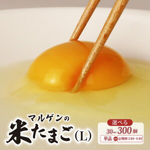 【ふるさと納税】 卵 マルゲンの米たまご Lサイズ 30個 50個 80個 選べる回数 1回 定期便 3回 6回 たまご 鶏卵 にわとり 新鮮 朝食 昼食 夕食 卵焼き 玉子焼き たまご焼き 卵かけご飯 ゆで卵 卵料理 生卵 国産 産地直送 破損保証 割れ保証 千葉県 旭市 有限会社マルゲン