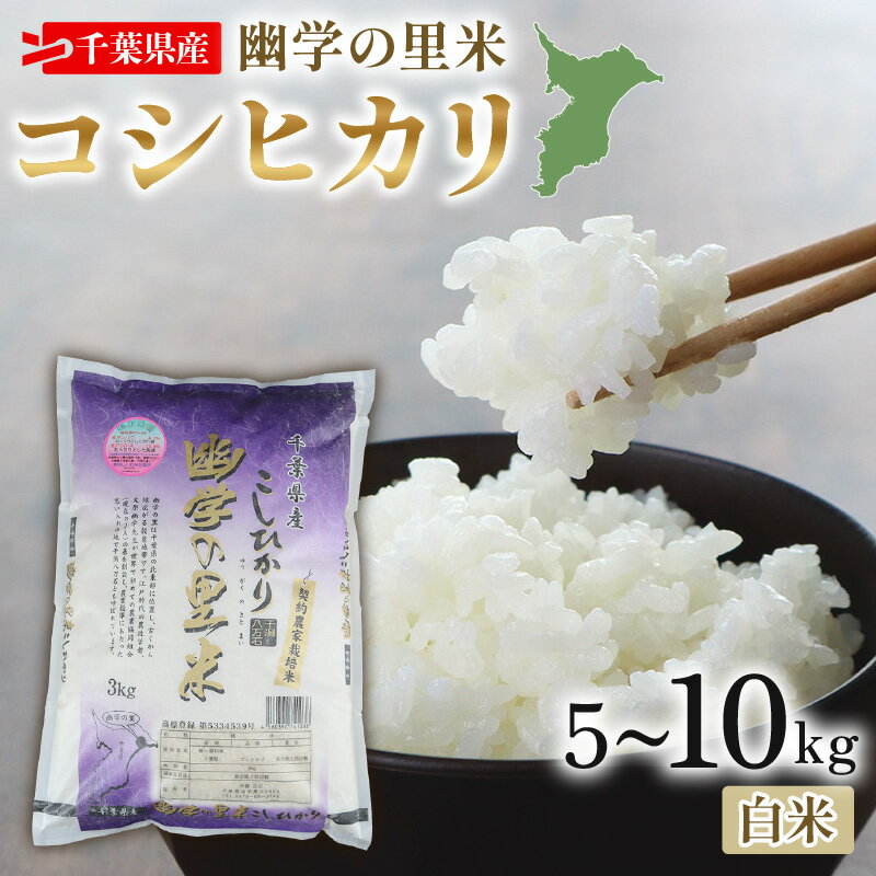 【ふるさと納税】 令和7年産 米 幽学の里米 コシヒカリ 選べる 5kg 10kg 20kg 定期便6回5kg 定期便6回10kg 精米 国産 千葉県産コシヒカ...