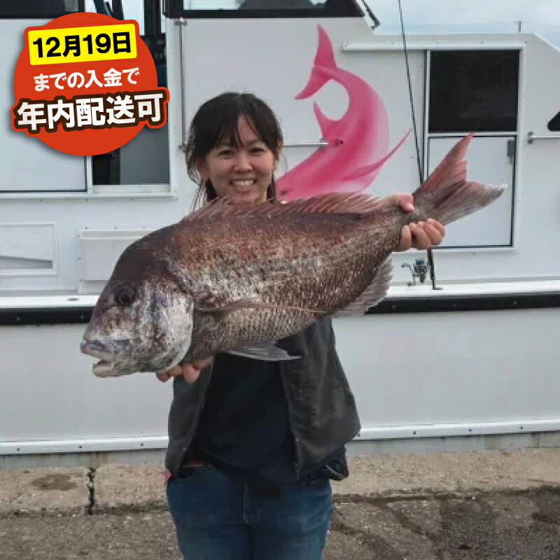 【ふるさと納税】 【先行予約】 釣り船 真鯛 乗船券 午前 手ぶらOK 午前マダイ船乗船券 フィッシング 魚釣り 釣り 鯛 千葉県 飯岡 九十九里 魚 リール 竿 船 飯岡港 千葉 海 海釣り沖釣り 新鮮魚 魚介 初心者 歓迎 千葉県 旭市 有限会社幸丸